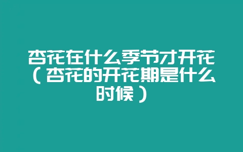 杏花在什么季节才开花（杏花的开花期是什么时候）-会东网