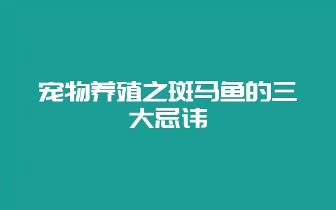 宠物养殖之斑马鱼的三大忌讳-会东网
