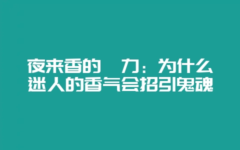 夜来香的魅力：为什么迷人的香气会招引鬼魂-会东网
