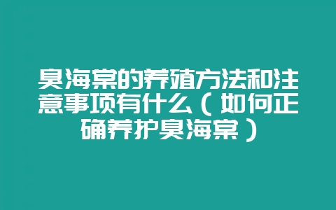 臭海棠的养殖方法和注意事项有什么（如何正确养护臭海棠）-会东网