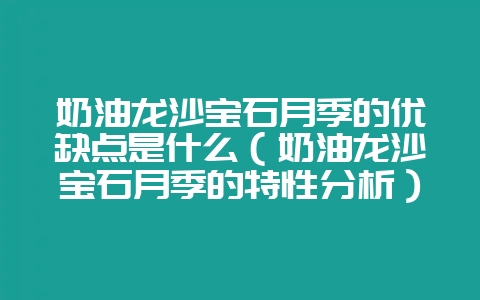 奶油龙沙宝石月季的优缺点是什么（奶油龙沙宝石月季的特性分析）-会东网