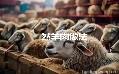 孜然羊肉做法-会东网