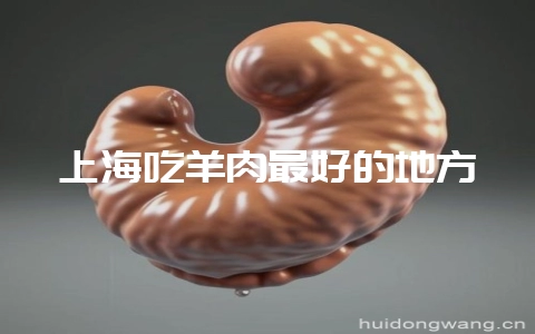 上海吃羊肉最好的地方-会东网