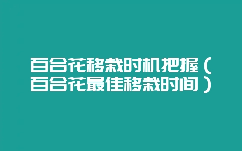百合花移栽时机把握(百合花最佳移栽时间)-会东网