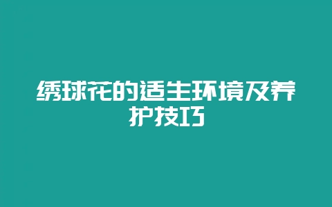 绣球花的适生环境及养护技巧-会东网
