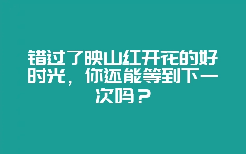 错过了映山红开花的好时光，你还能等到下一次吗？-会东网
