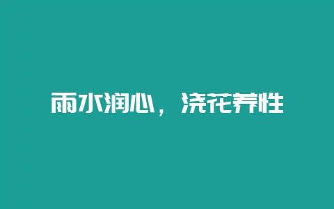 雨水润心,浇花养性-会东网
