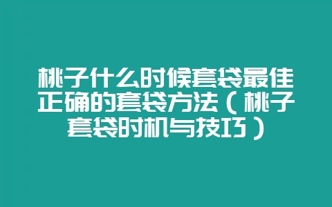 桃子什么时候套袋最佳正确的套袋方法（桃子套袋时机与技巧）-会东网
