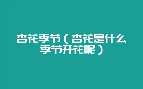 杏花季节(杏花是什么季节开花呢)-会东网