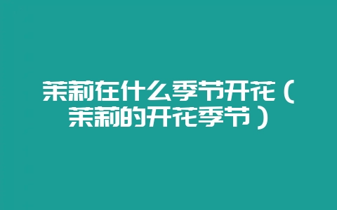 茉莉在什么季节开花(茉莉的开花季节)-会东网