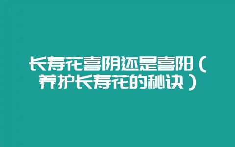 长寿花喜阴还是喜阳(养护长寿花的秘诀)-会东网