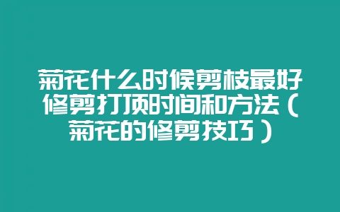 菊花什么时候剪枝最好修剪打顶时间和方法(菊花的修剪技巧)-会东网