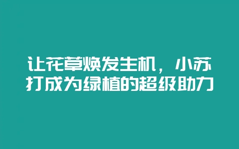 让花草焕发生机，小苏打成为绿植的超级助力-会东网