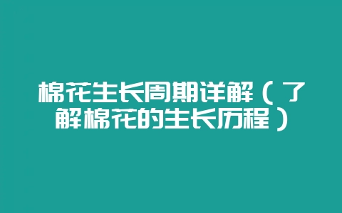 棉花生长周期详解（了解棉花的生长历程）-会东网