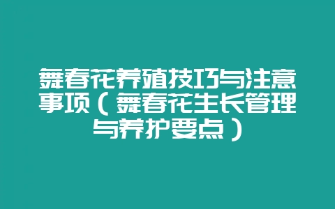 舞春花养殖技巧与注意事项（舞春花生长管理与养护要点）-会东网