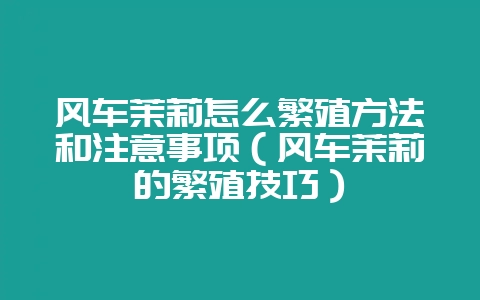 风车茉莉怎么繁殖方法和注意事项（风车茉莉的繁殖技巧）-会东网