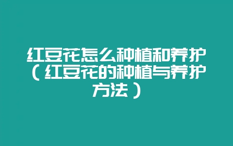 红豆花怎么种植和养护(红豆花的种植与养护方法)-会东网