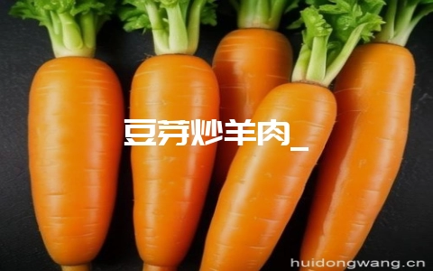 豆芽炒羊肉_-会东网