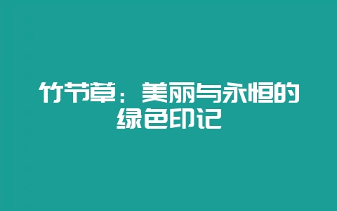 竹节草：美丽与永恒的绿色印记-会东网