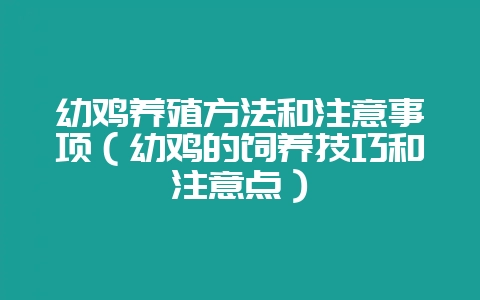 幼鸡养殖方法和注意事项（幼鸡的饲养技巧和注意点）-会东网