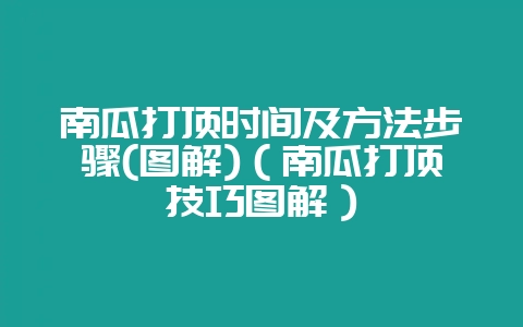 南瓜打顶时间及方法步骤(图解)（南瓜打顶技巧图解）-会东网