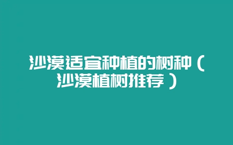 沙漠适宜种植的树种（沙漠植树推荐）-会东网