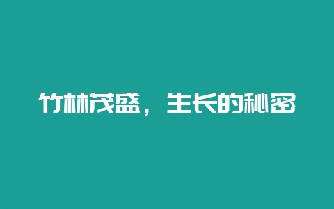 竹林茂盛，生长的秘密-会东网