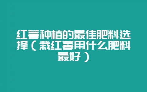 红薯种植的最佳肥料选择（栽红薯用什么肥料最好）-会东网
