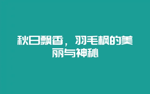 秋日飘香，羽毛枫的美丽与神秘-会东网