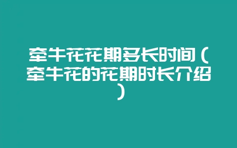 牵牛花花期多长时间（牵牛花的花期时长介绍）-会东网
