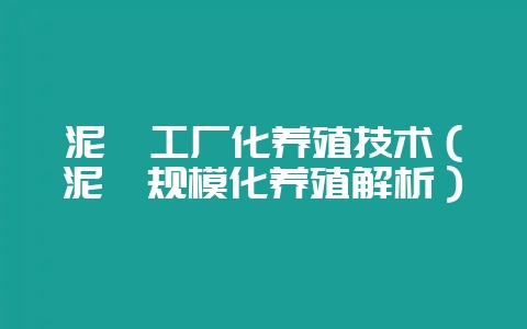 泥鳅工厂化养殖技术（泥鳅规模化养殖解析）-会东网