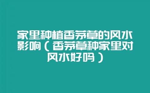 家里种植香茅草的风水影响(香茅草种家里对风水好吗)插图 家里种植香茅草的风水影响(香茅草种家里对风水好吗)插图