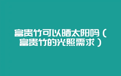 富贵竹可以晒太阳吗（富贵竹的光照需求）-会东网