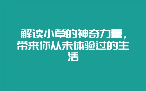 解读小草的神奇力量,带来你从未体验过的生活-会东网