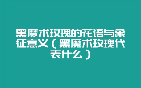 黑魔术玫瑰的花语与象征意义(黑魔术玫瑰代表什么)-会东网