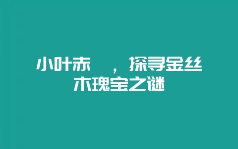 小叶赤楠，探寻金丝楠木瑰宝之谜-会东网