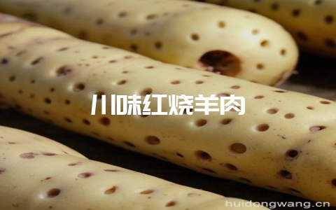 川味红烧羊肉-会东网