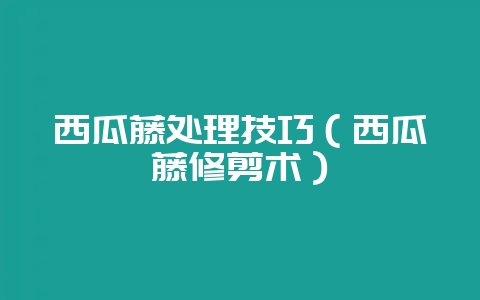 西瓜藤处理技巧(西瓜藤修剪术)-会东网