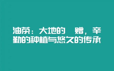 油茶：大地的馈赠，辛勤的种植与悠久的传承-会东网