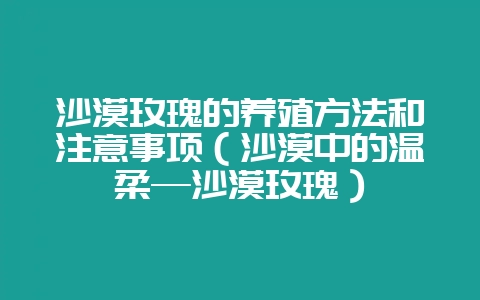 沙漠玫瑰的养殖方法和注意事项（沙漠中的温柔—沙漠玫瑰）-会东网