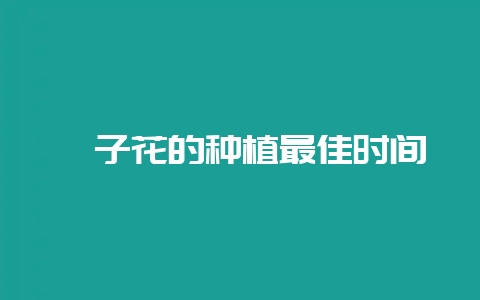 栀子花的种植最佳时间-会东网
