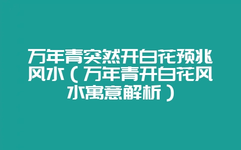 万年青突然开白花预兆风水（万年青开白花风水寓意解析）-会东网