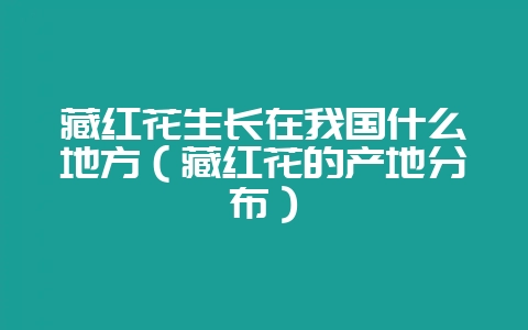 藏红花生长在我国什么地方(藏红花的产地分布)-会东网