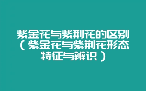 紫金花与紫荆花的区别（紫金花与紫荆花形态特征与辨识）-会东网