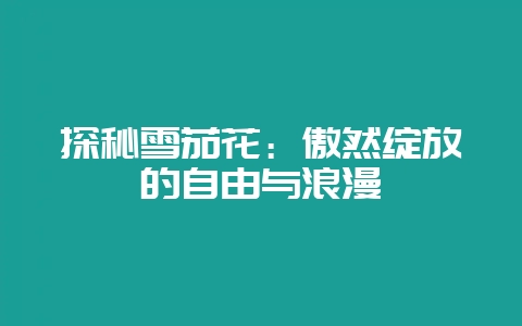 探秘雪茄花：傲然绽放的自由与浪漫-会东网