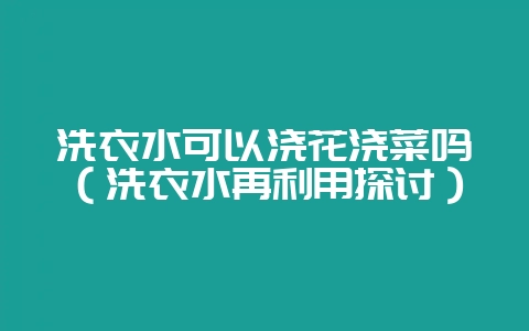 洗衣水可以浇花浇菜吗（洗衣水再利用探讨）-会东网