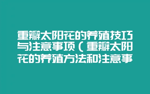 重瓣太阳花的养殖技巧与注意事项（重瓣太阳花的养殖方法和注意事-会东网