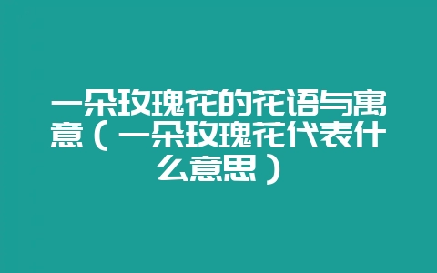 一朵玫瑰花的花语与寓意（一朵玫瑰花代表什么意思）-会东网