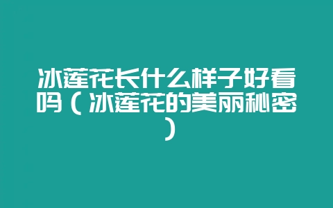 冰莲花长什么样子好看吗（冰莲花的美丽秘密）-会东网