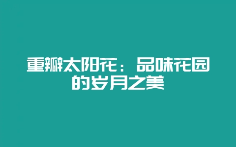 重瓣太阳花：品味花园的岁月之美-会东网